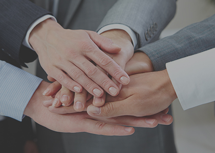 OEM Partners