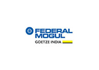 Federal Mogul